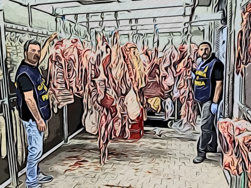 Frattaglie  di carne  sotto sequestro