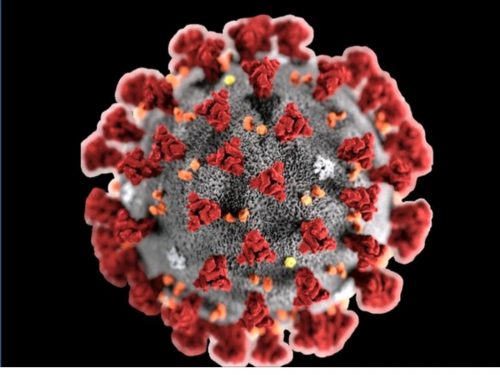 Coronavirus, precauzioni in chiesa